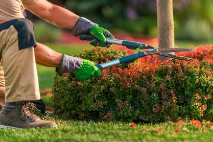 Gardening service – Ultra Sec Facility Force